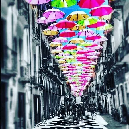 Quintino Sella Bed & Breakfast