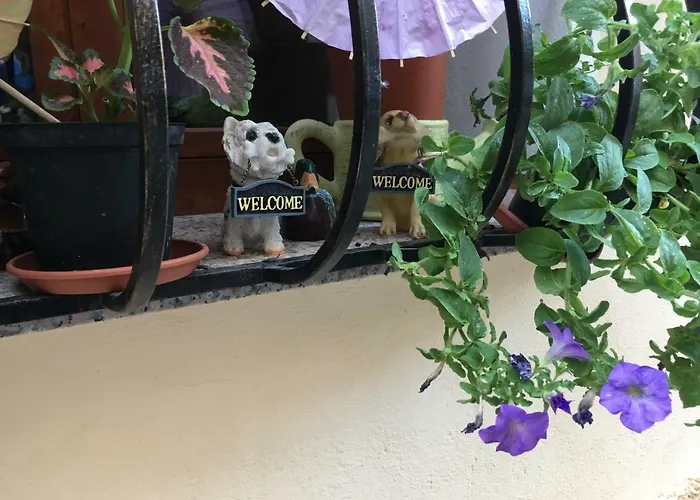 Bed & Breakfast Quintino Sella